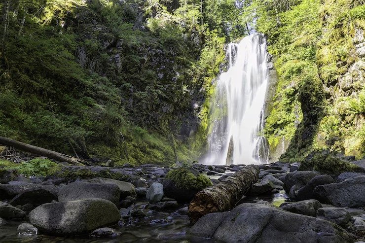 People enjoying near the waterfall